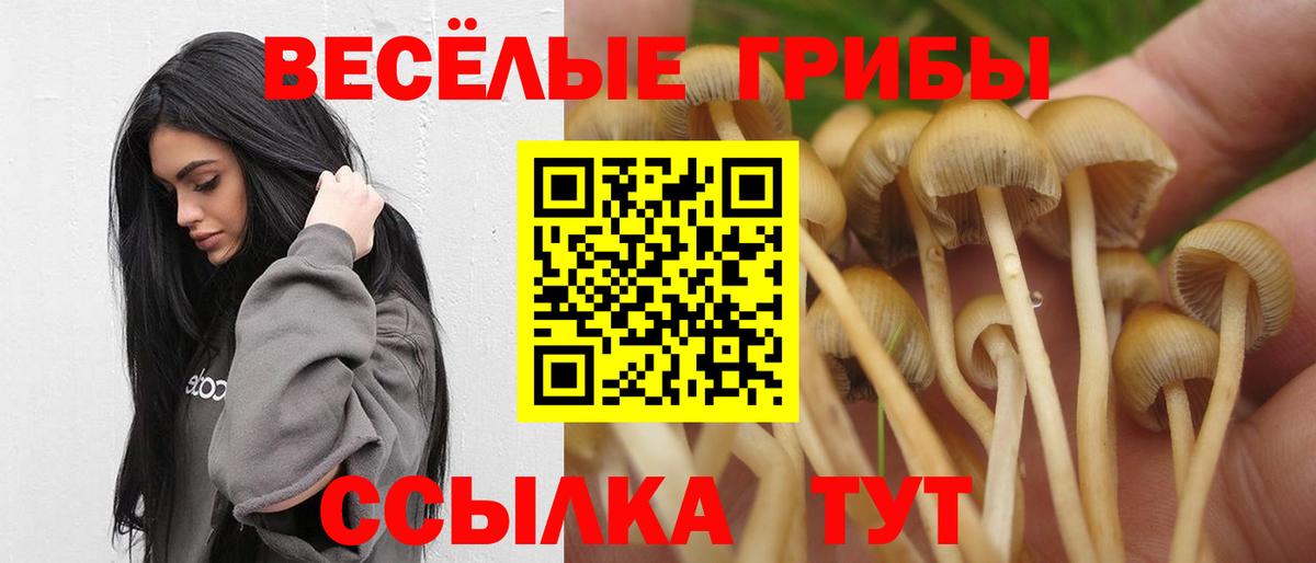 Санкт-Петербург  Галлюциногенные грибы GOLDEN TEACHER  Вход с VPN 